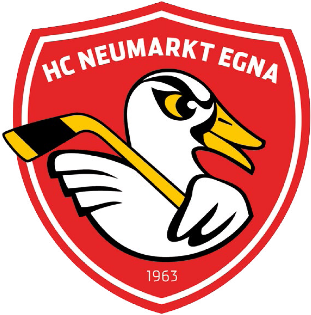 HC Neumarkt-Egna 2016-Pres Primary Logo iron on heat transfer